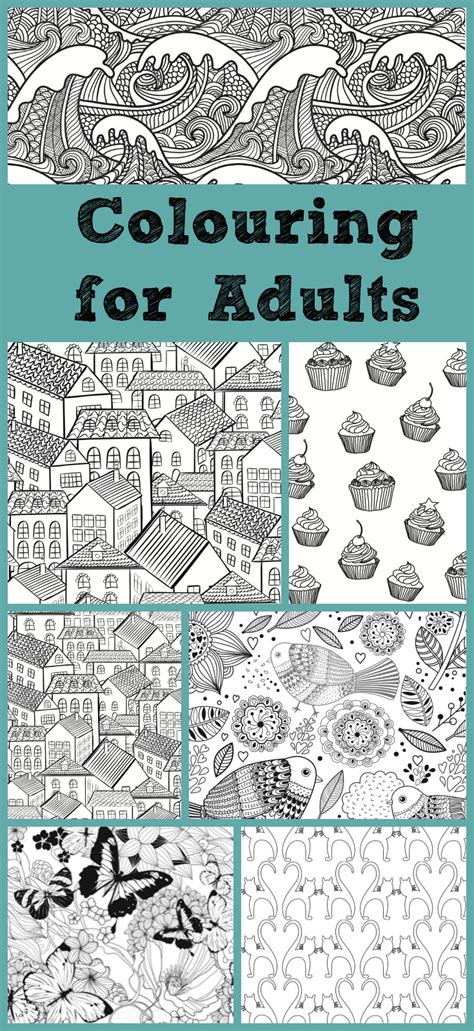 Colouring Books for Adults - In The Playroom