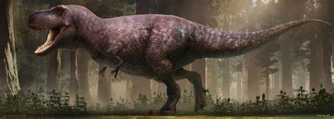 Tyrannosaurus History And Some Interesting Facts