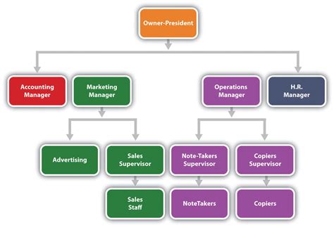 Reading The Organization Chart And Reporting Structure Bus 100