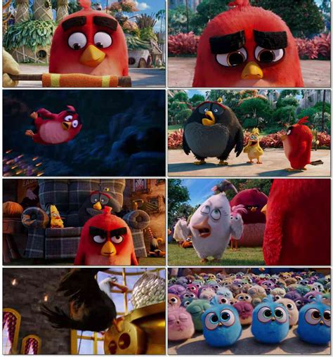 The Angry Birds Movie 2016 720p Bluray Hevc 530mb Mkv ~ Free Download