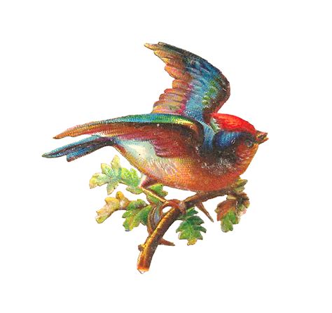 Vintage Bird Png Clip Art Library