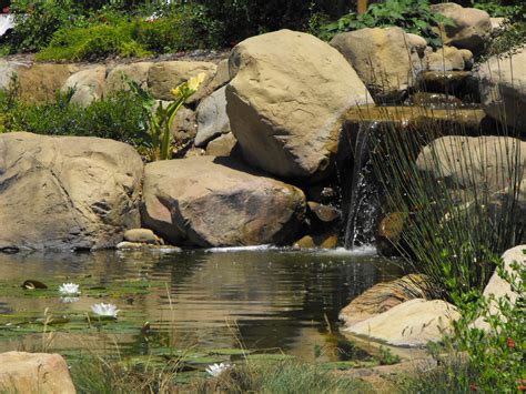 Once the weather warms, the door and windows can be left open to a pond can be a beautiful, calming feature in a backyard if the space is large enough. Ponds | Garcia Rock And Water Design Blog