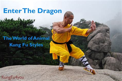 The Animal Styles Of Kungfu Have Long Held A Fascination For Many