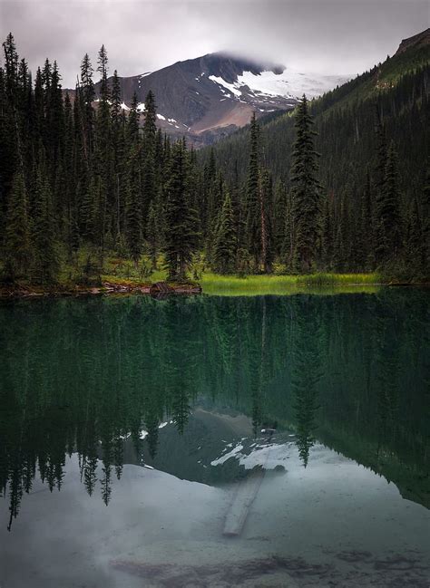 Mountain Lake Spruce Reflection Forest Hd Phone Wallpaper Peakpx