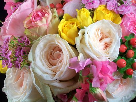 Fonds Decran Bouquets Roses En Gros Plan Blanc Fleurs Télécharger Photo