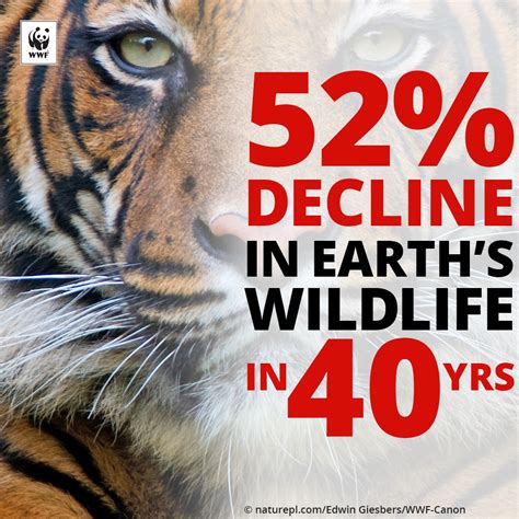 Half Of Global Wildlife Lost Says New Wwf Report Press Releases Wwf