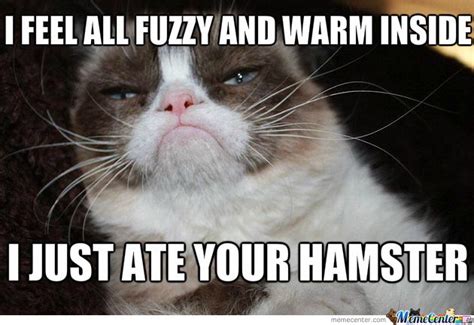 Grumpy Cat Is A Jerk Grumpy Cat Grumpy Cat Meme Cat Memes