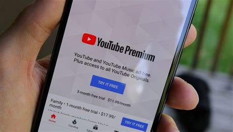 How To Share Your Youtube Premium Subscription In 2024