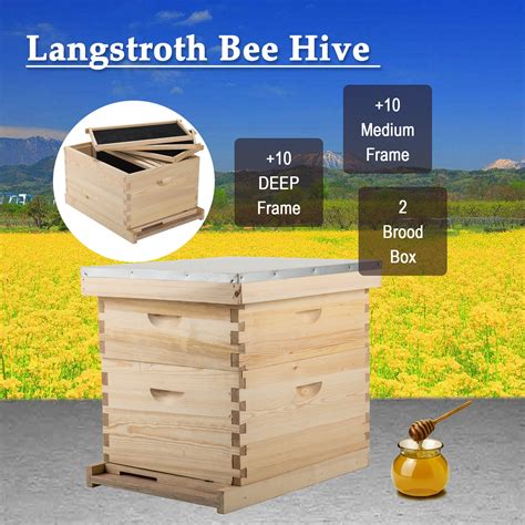 Bee Hive 10 Frame Langstroth 2 Deep Brood Boxes Includes Frames