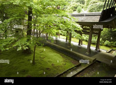 Ryoanji Temple Moss Garden Ryoan Ji Temple Unesco World Heritage Site