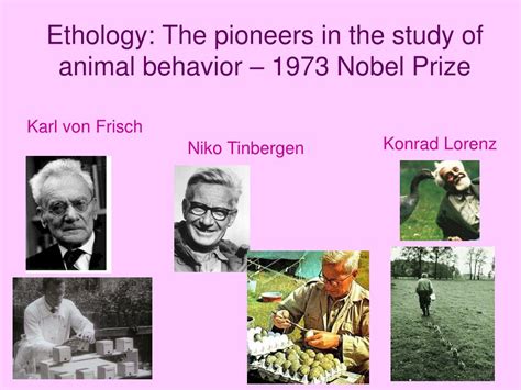 Ppt Animal Behavior Powerpoint Presentation Free Download Id1108636