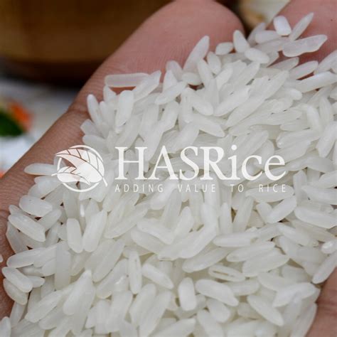 5 Broken Rice Exporters Irri6 White Rice From Pakistan Has Rice