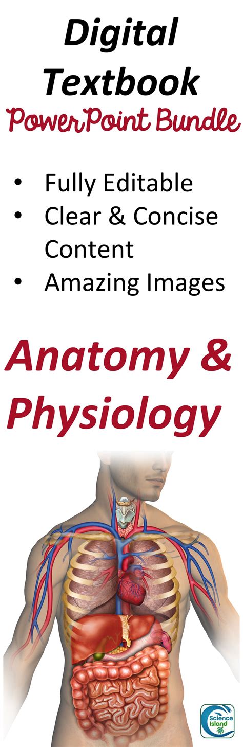Anatomy And Physiology Powerpoint Bundle Digital Textbook Anatomy And