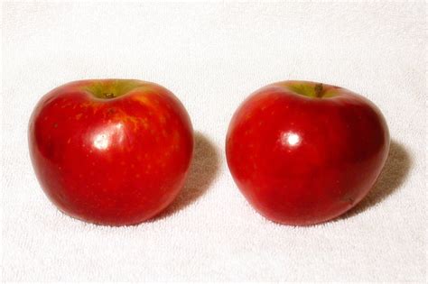 Petite devinette à destination des parents : Ariane (apple) - Wikipedia