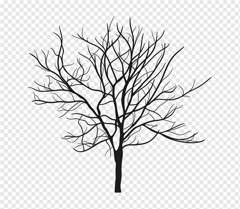 Withered No Leaf Trees Withered No Leaf Trees Png PNGWing