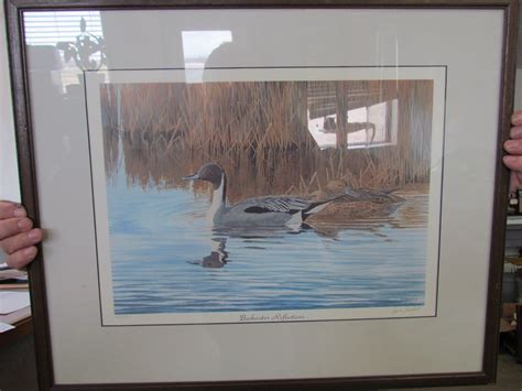 Ducks Unlimited Framed Art 1111850backwards Reflections By Dave