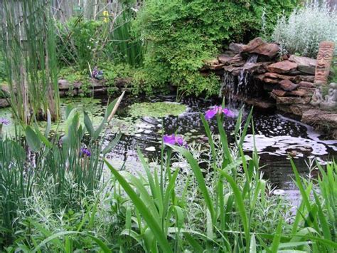 8 Things To Consider Before You Install A Pond Water Garden Basics Hgtv