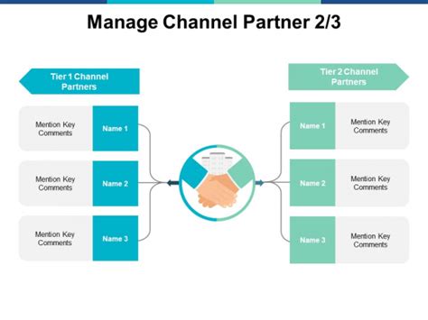 Manage Channel Partner Strategy Ppt Powerpoint Presentation Portfolio