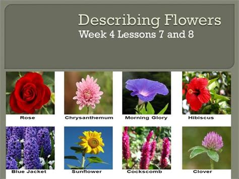 Describing Flowers Ppt