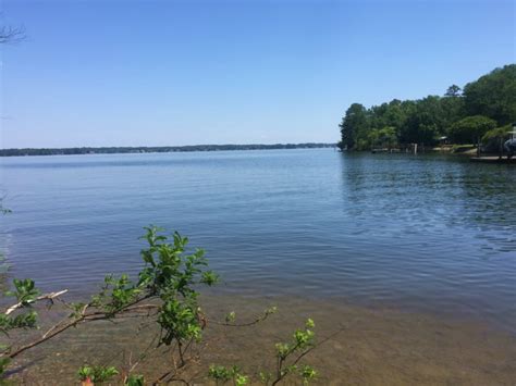 Your own deeded boat slip. 0.42 Acres For Sale On Lake Murray : Lot for Sale in ...