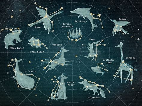 Constellation Map By Yeticrab On Dribbble
