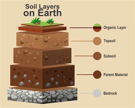Diagram Ternary Diagram Soil Mydiagramonline