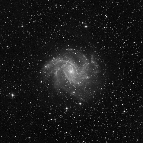 Ngc 6946 Fireworks Galaxy Intermediate Spiral Galaxy In Cygnus