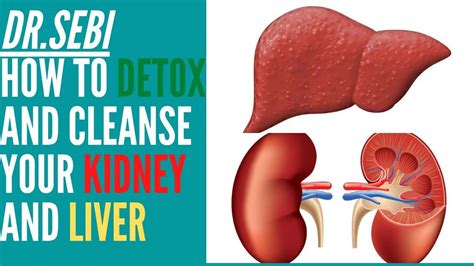 How To Help Liver And Kidney Function