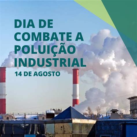Como Combater A Poluição