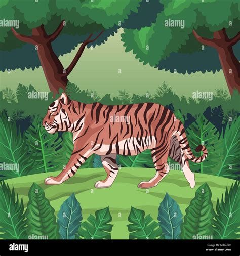 Tiger In The Jungle Vector Illustration Graphic Design Stock Vector