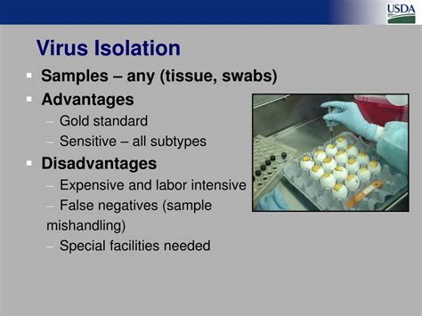 Ppt Laboratory Diagnosis Of Avian Influenza And Newcastle Disease