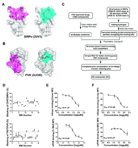 Virtual Screening Of Small Molecule Inhibitors Targeting Sirpα And Pvr