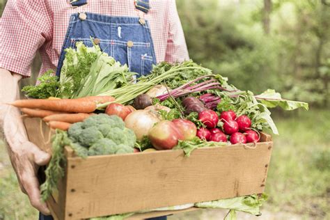 Environmental Benefits Of Organic Farming