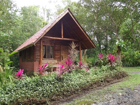 Check spelling or type a new query. Jungle and Rainforest Art of Costa Rica: "Eco-Friendly ...