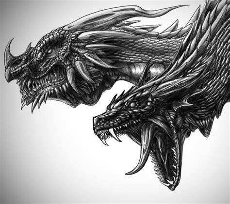 Download dragon drawing and use any clip art,coloring,png graphics in your website, document or presentation. Dragons ... | Dragon drawing, Realistic dragon, Cool dragon drawings