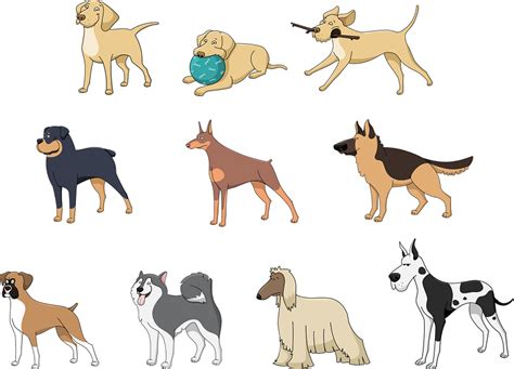 A Guide To Different Dog Breeds Blue Cross Veterinary Hospital