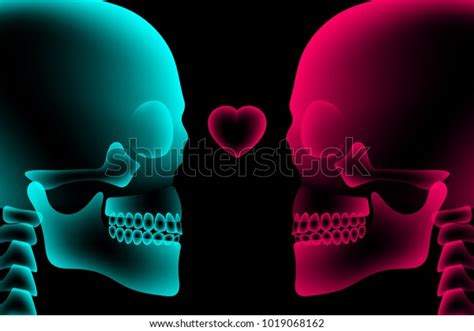 Skull Couple Xray Heart Symbol Love Stock Vector Royalty Free 1019068162 Shutterstock