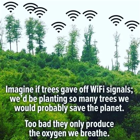 The World Needs Trees And Forests⁣ Do You Care About The Planet 🌏 Tag