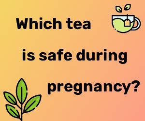 Can Pregnant Women Drink Tea A Comprehensive Guide For Moms