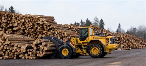 Picks up firewood at a bonfire, campfire or fire pit with ease. Owned Assets & Shipping Equipments - Sri Maharshi Shipping ...