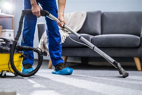Carpet Cleaning Tips Cleany Miami