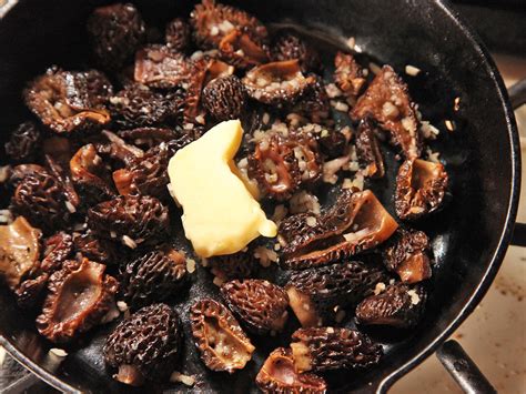 30 Best Best Way to Cook Morel Mushrooms - Home, Family, Style and Art ...
