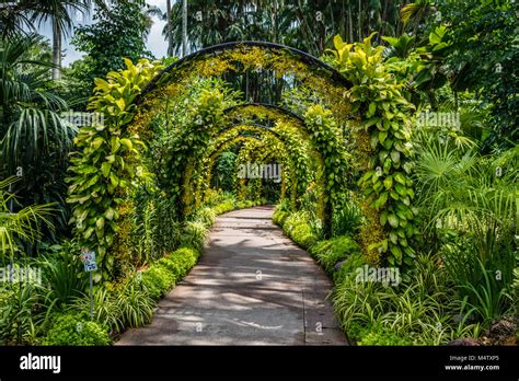 Flower Archway In Singapore Botanic Gardens Republic Of Singapore