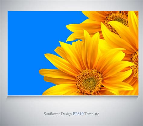 Free Svg Sunflower Svg Background 3915 Crafter Files