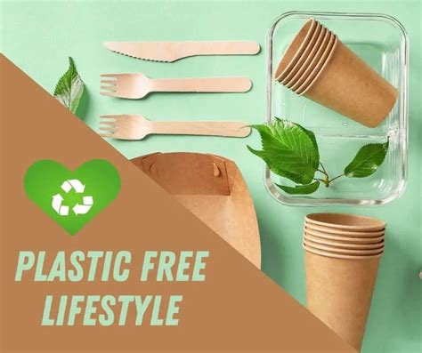 9 Best Eco Friendly Food Containers Plastic Free Products