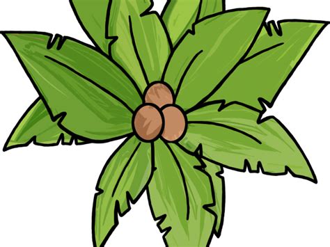 Palm Tree Illustration Top View Clipart Full Size Clipart 5230037