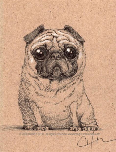 The things that you require for animal drawings are erasers, pencils, papers, colour pencils or crayons. Puggle puppy!!! Super cute puppy drawing, simply fun | Cute drawings (drawing ideas) :D ...