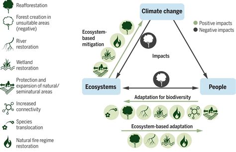 These actions fall into one of two broad categories: Measuring the success of climate change adaptation and ...