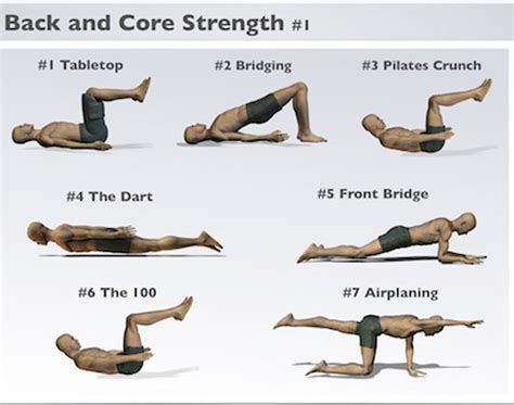 Core Stability Exercises For Lower Back Pain Pdf