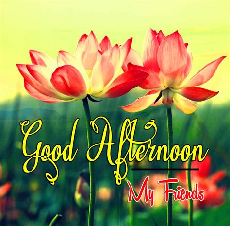 1654  The Best Collection - Good Afternoon Images HD Download